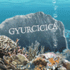 gyurcicica1